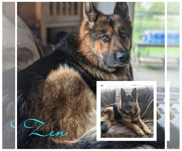 Medium Photo #3  Breeder Profile in MOLALLA, OR, USA