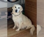 Small #1 Breeder Profile image