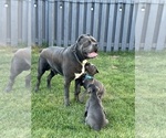 Small #8 Breeder Profile image