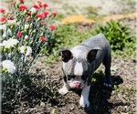 Small #2 Breeder Profile image