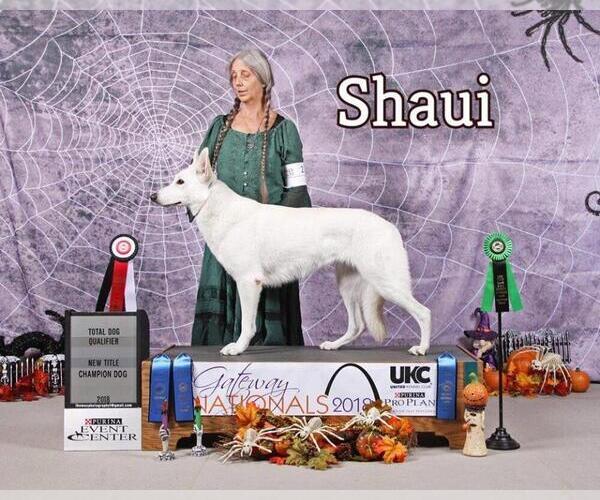 Medium Photo #4  Breeder Profile in CECILIA, KY, USA