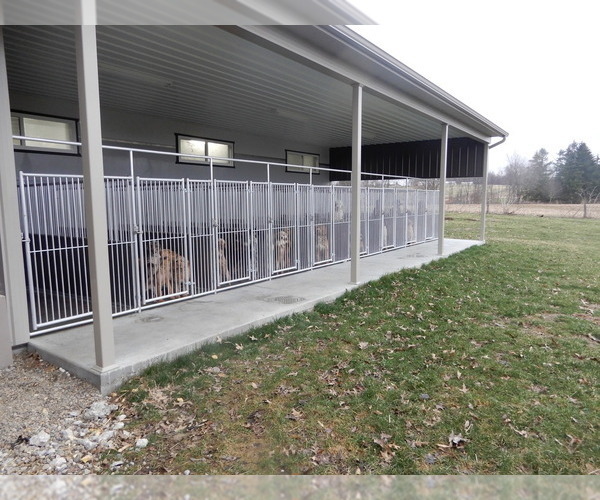 Medium Photo #5  Breeder Profile in WOOSTER, OH, USA