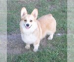 Small #10 Breeder Profile image