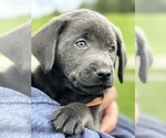 Small #1 Breeder Profile image