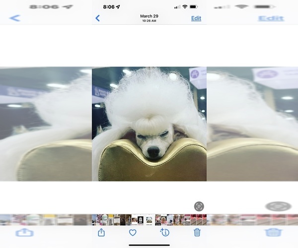 Medium Photo #3  Breeder Profile in LAKE ELSINORE, CA, USA
