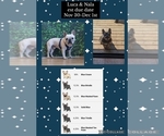 Small #1 Breeder Profile image