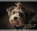 Small #3 Breeder Profile image