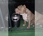 Small #4 Breeder Profile image
