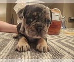 Small #2 Breeder Profile image
