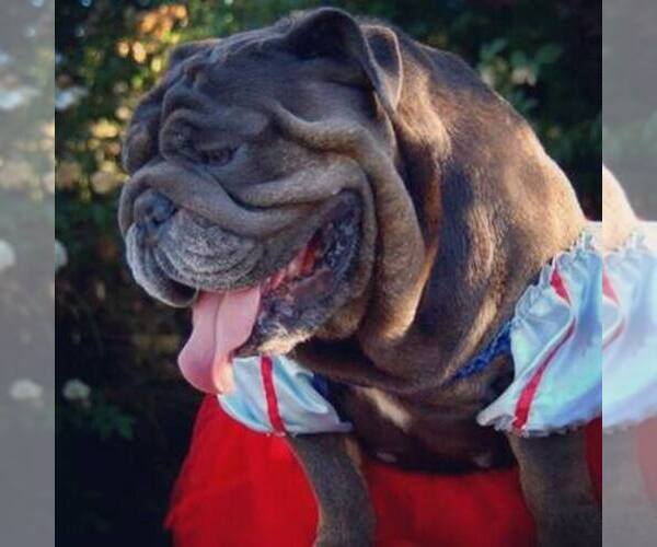 Medium Photo #1  Breeder Profile in VISALIA, CA, USA