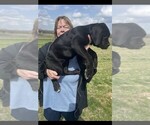 Small #2 Breeder Profile image