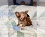 Small #58 Breeder Profile image