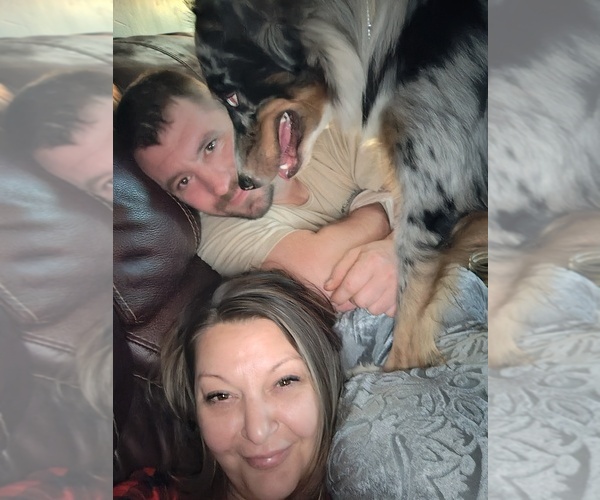 Medium Photo #1  Breeder Profile in GREENVILLE, PA, USA
