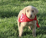 Small #3 Breeder Profile image