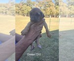 Small #41 Breeder Profile image