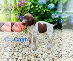 Small #7 Breeder Profile image