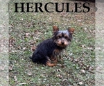 Small #2 Breeder Profile image