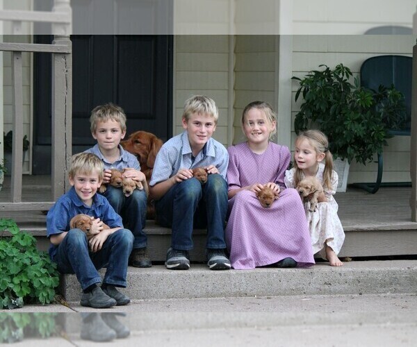 Medium Photo #1  Breeder Profile in LOYAL, WI, USA