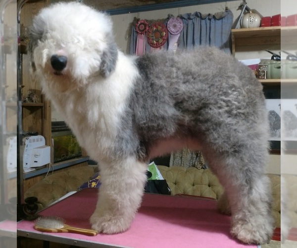 Medium Photo #2  Breeder Profile in CHARLESTON, TN, USA