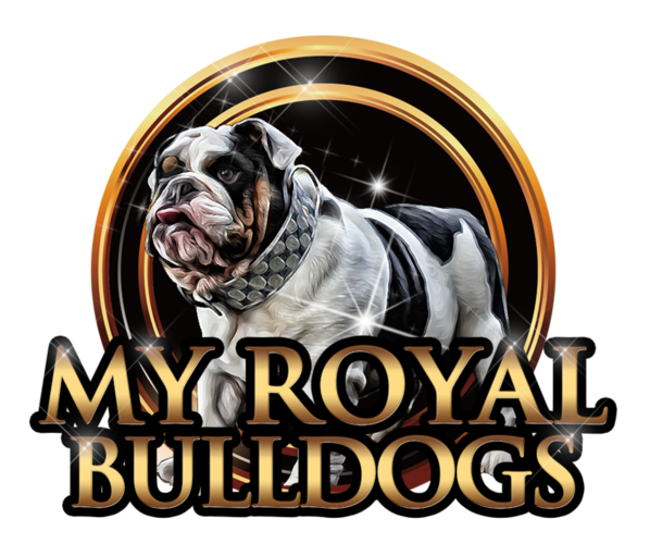 Medium Photo #1  Breeder Profile in HOUSTON, TX, USA