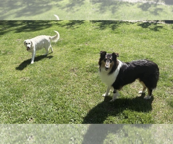 Medium Photo #3  Breeder Profile in SANTA ROSA BEACH, FL, USA