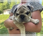 Small #8 Breeder Profile image