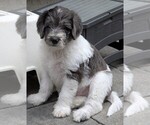 Small #10 Breeder Profile image