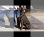 Small #47 Breeder Profile image