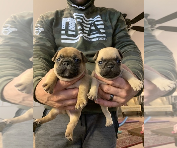 Medium Photo #1  Breeder Profile in FRED, VA, USA