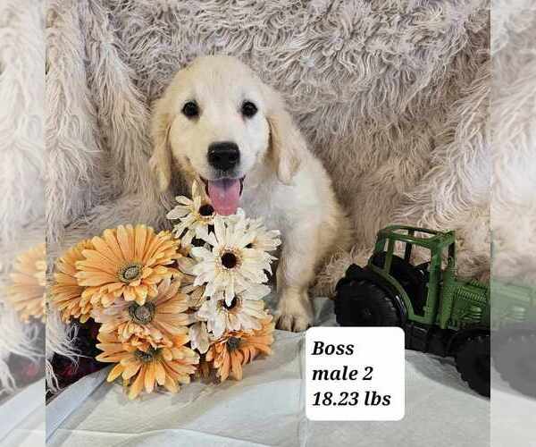 Medium Photo #6  Breeder Profile in SIOUX CENTER, IA, USA