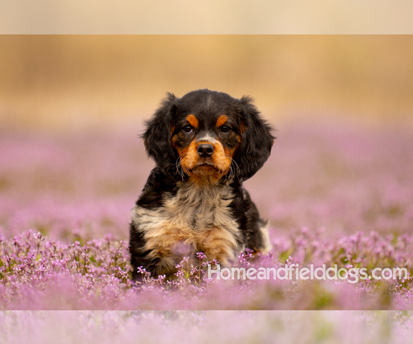 Medium Photo #1  Breeder Profile in SPANISH FORK, UT, USA