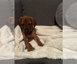 Small #16 Breeder Profile image