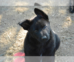 Small #1 Breeder Profile image