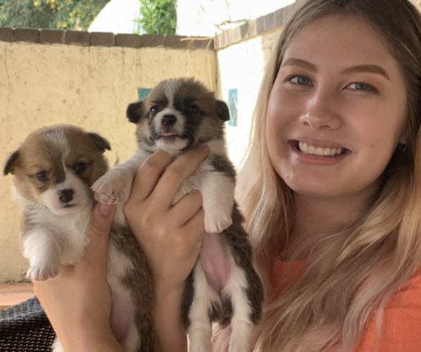 Medium Photo #16  Breeder Profile in MIDLOTHIAN, TX, USA