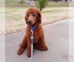 Small #15 Breeder Profile image