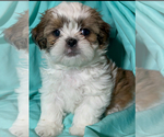 Small #4 Breeder Profile image