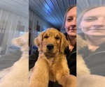 Small breeder photo
