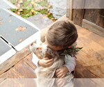 Small #5 Breeder Profile image
