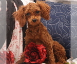 Small #26 Breeder Profile image