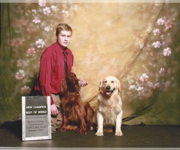 Medium Photo #1  Breeder Profile in HOME, PA, USA
