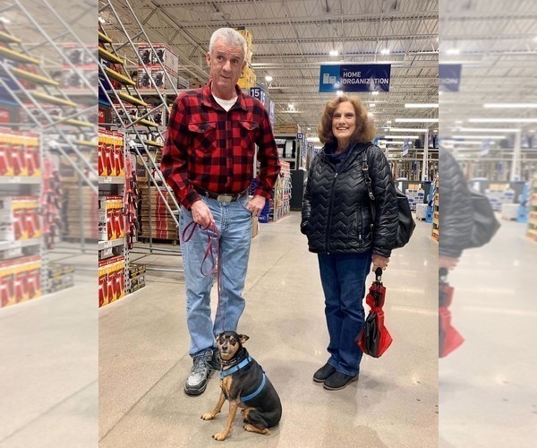 Medium Photo #17  Breeder Profile in S CHARLESTON, WV, USA