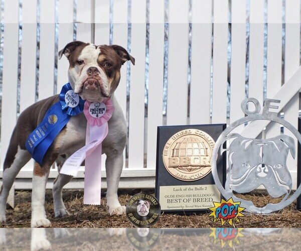 Medium Photo #1  Breeder Profile in W WARWICK, RI, USA