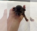 Small #9 Breeder Profile image