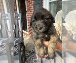 Small #3 Breeder Profile image