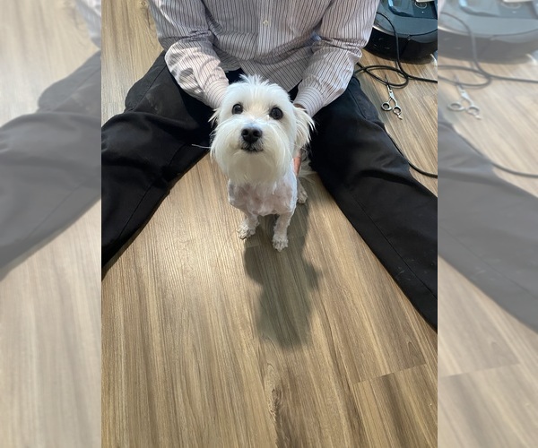 Medium Photo #13  Breeder Profile in SAN ANTONIO, TX, USA