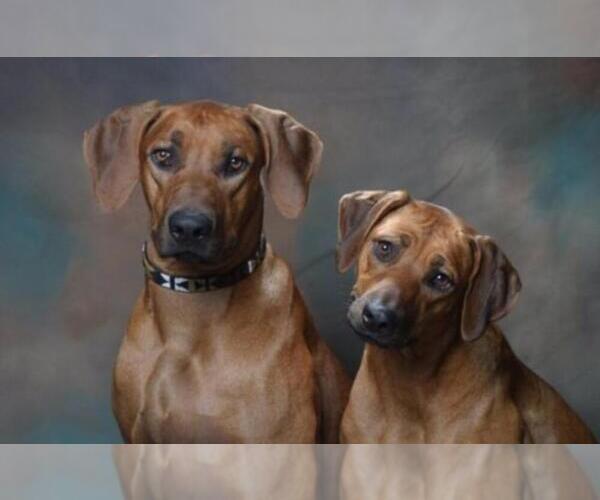 Medium Photo #12  Breeder Profile in CALDWELL, TX, USA