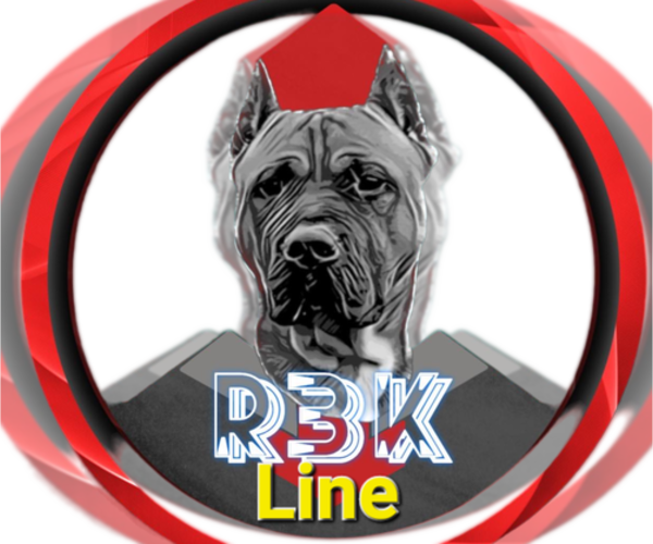 Medium Photo #1  Breeder Profile in JOLIET, IL, USA