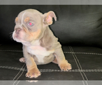 Small breeder photo