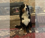 Small #11 Breeder Profile image