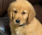 Small #1 Breeder Profile image